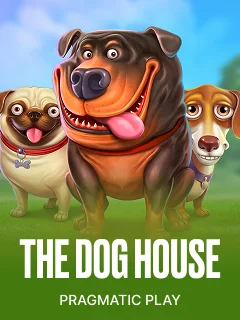The Dog House