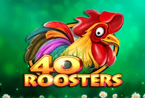 40 Roosters